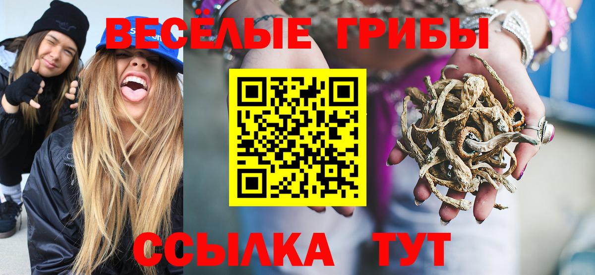 Галлюциногенные грибы Magic Shrooms  Вход с VPN  Грозный 
